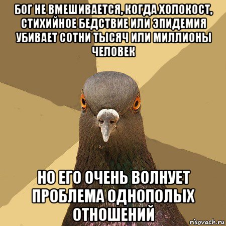 бог не вмешивается, когда холокост, стихийное бедствие или эпидемия убивает сотни тысяч или миллионы человек но его очень волнует проблема однополых отношений, Мем голубь