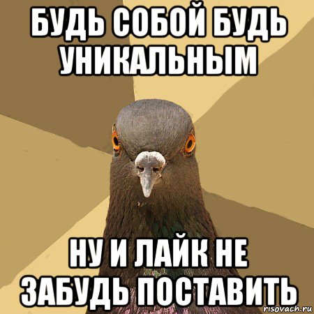 будь собой будь уникальным ну и лайк не забудь поставить, Мем голубь