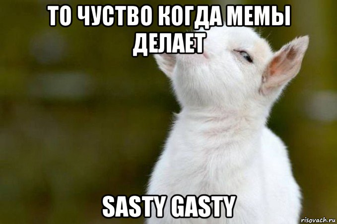 то чуство когда мемы делает sasty gasty, Мем  Гордый козленок