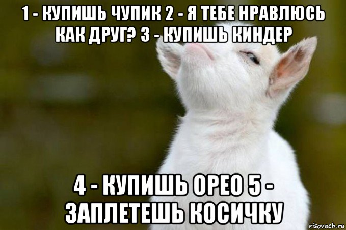 1 - купишь чупик 2 - я тебе нравлюсь как друг? 3 - купишь киндер 4 - купишь орео 5 - заплетешь косичку, Мем  Гордый козленок