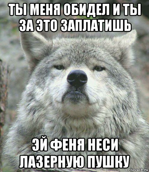 ты меня обидел и ты за это заплатишь эй феня неси лазерную пушку, Мем    Гордый волк