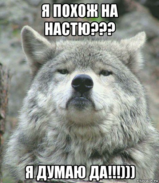 я похож на настю??? я думаю да!!!))), Мем    Гордый волк