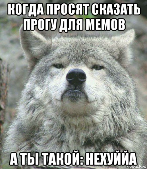 когда просят сказать прогу для мемов а ты такой: нехуййа, Мем    Гордый волк