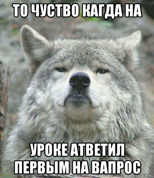 то чуство кагда на уроке атветил первым на вапрос, Мем    Гордый волк