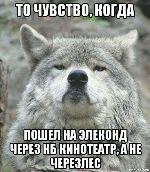 то чувство, когда пошел на элеконд через кб кинотеатр, а не черезлес, Мем    Гордый волк