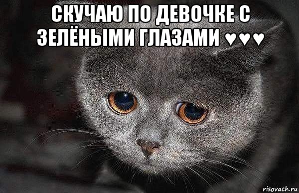 скучаю по девочке с зелёными глазами ♥♥♥ , Мем  Грустный кот