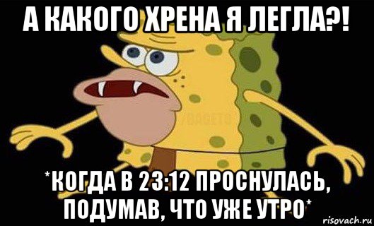 а какого хрена я легла?! *когда в 23:12 проснулась, подумав, что уже утро*, Мем Губка Боб дикарь