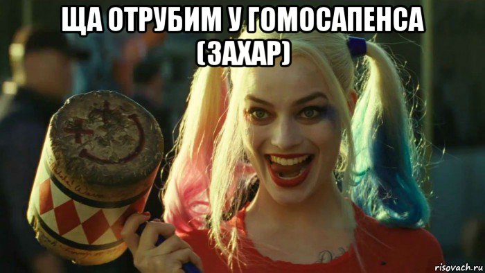 ща отрубим у гомосапенса (захар) , Мем    Harley quinn