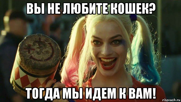 вы не любите кошек? тогда мы идем к вам!, Мем    Harley quinn