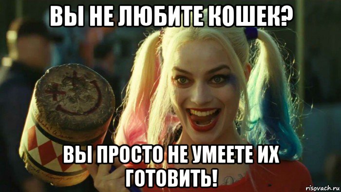 вы не любите кошек? вы просто не умеете их готовить!, Мем    Harley quinn