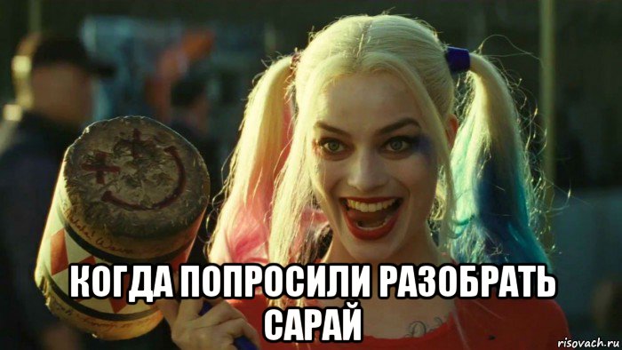  когда попросили разобрать сарай, Мем    Harley quinn