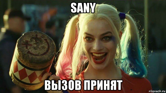 sany вызов принят, Мем    Harley quinn