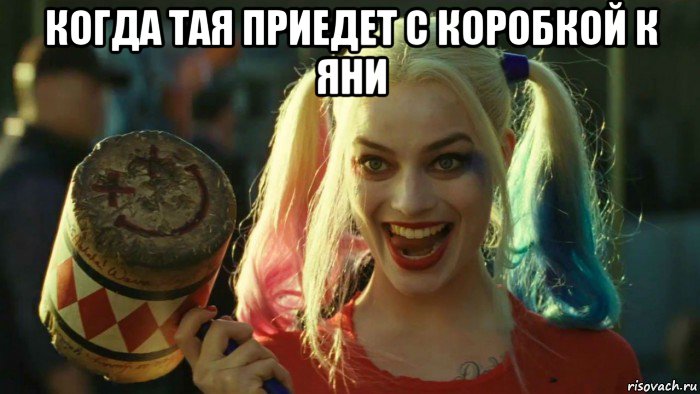 когда тая приедет с коробкой к яни , Мем    Harley quinn