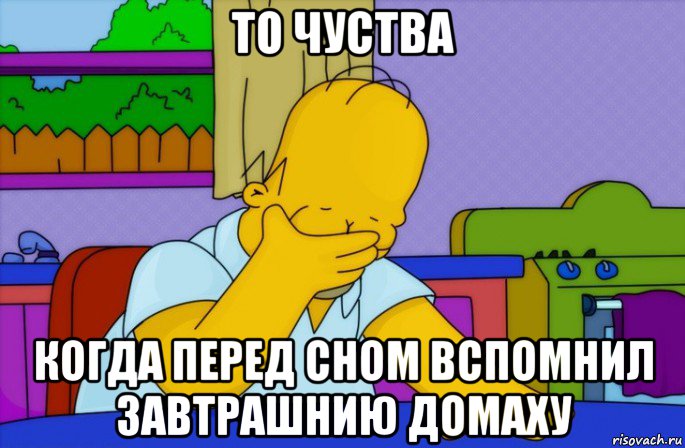 то чуства когда перед сном вспомнил завтрашнию домаху, Мем Homer simpson facepalm