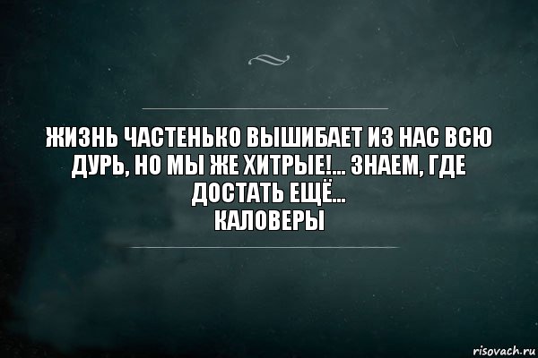 Жизнь частенько вышибает из нас всю дурь, но мы же хитрые!... Знаем, где достать ещё...
Каловеры, Комикс Игра Слов