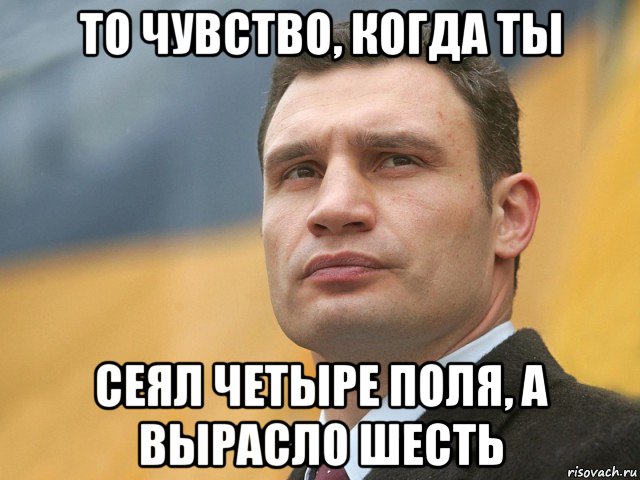 то чувство, когда ты сеял четыре поля, а вырасло шесть, Мем Кличко на фоне флага