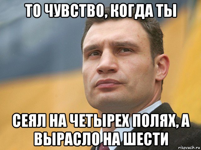 то чувство, когда ты сеял на четырех полях, а вырасло на шести, Мем Кличко на фоне флага