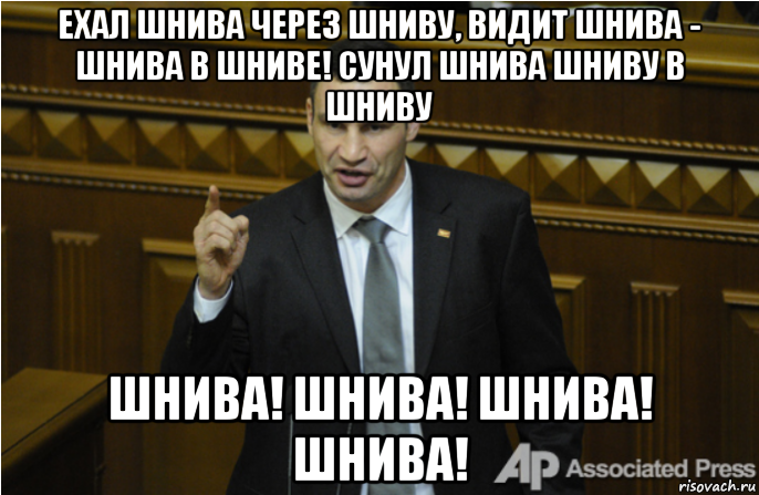 ехал шнива через шниву, видит шнива - шнива в шниве! сунул шнива шниву в шниву шнива! шнива! шнива! шнива!, Мем кличко философ