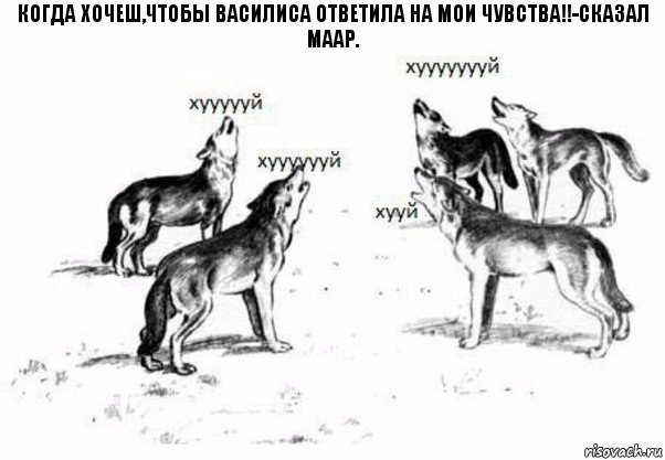 Когда хочеш,чтобы Василиса ответила на мои чувства!!-сказал Маар., Комикс Когда хочешь