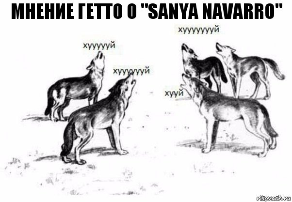 мнение гетто о "Sanya Navarro"