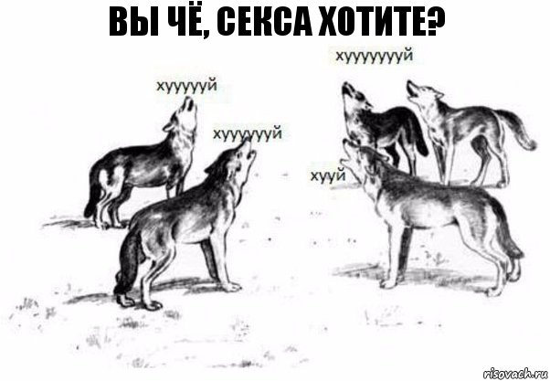 Вы чё, секса хотите?, Комикс Когда хочешь