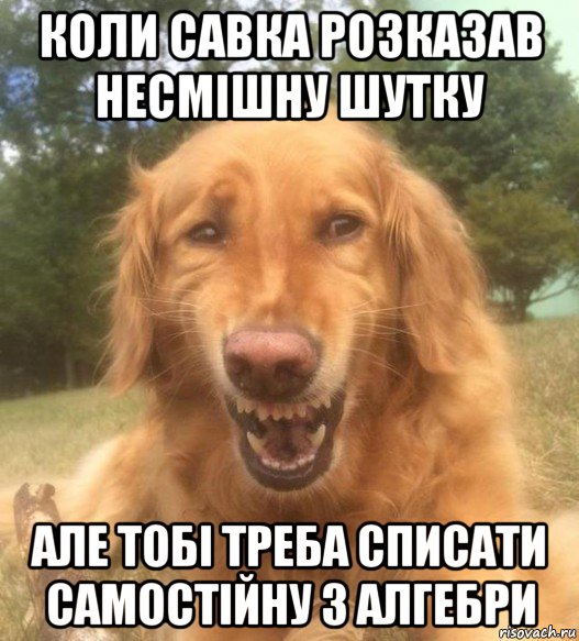 коли савка розказав несмішну шутку але тобі треба списати самостійну з алгебри, Мем   Когда увидел что соседского кота отнесли в чебуречную