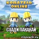 Схади пакакай