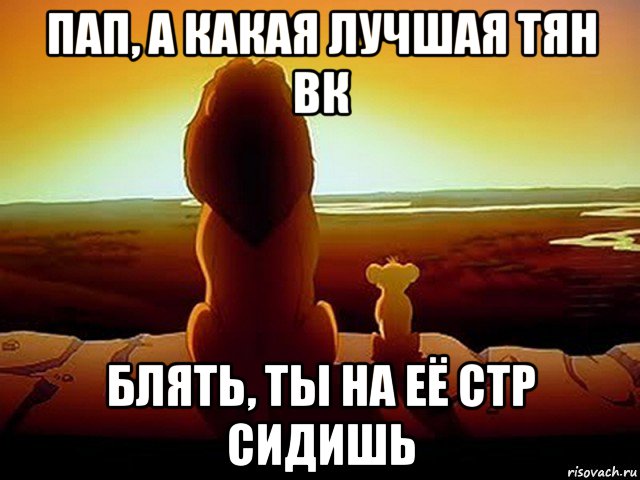 пап, а какая лучшая тян вк блять, ты на её стр сидишь, Мем  король лев