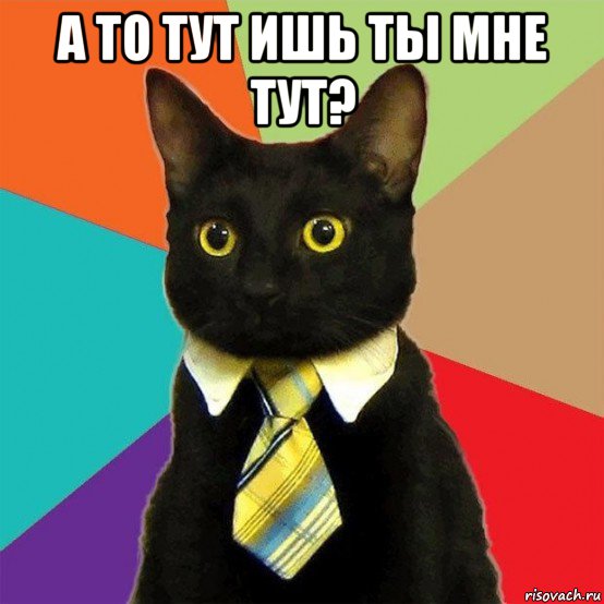 а то тут ишь ты мне тут? , Мем  Кошечка