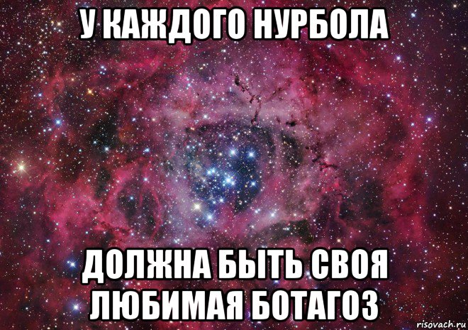 у каждого нурбола должна быть своя любимая ботагоз, Мем Ты просто космос