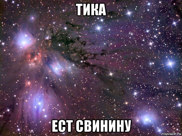 тика ест свинину, Мем Космос