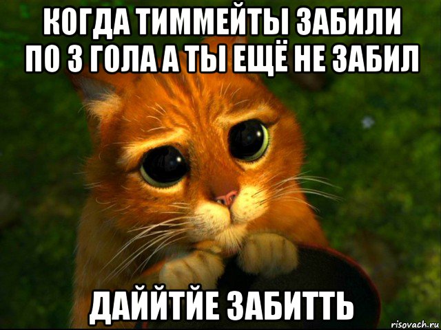 когда тиммейты забили по 3 гола а ты ещё не забил даййтйе забитть, Мем кот из шрека