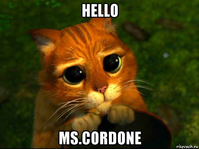 hello ms.cordone, Мем кот из шрека