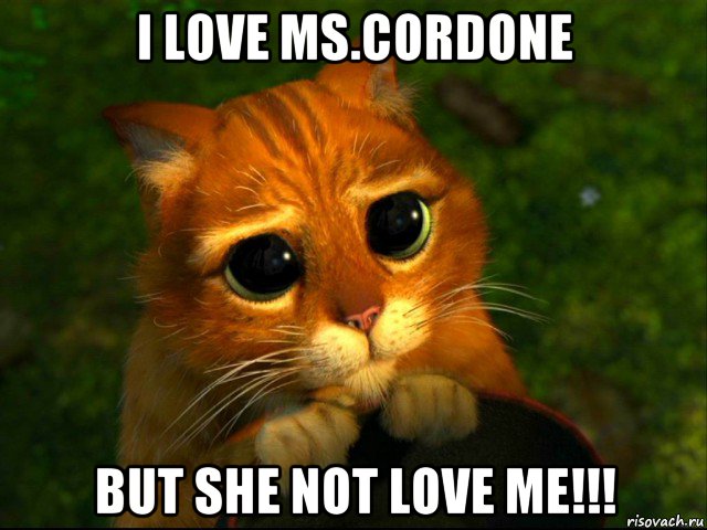 i love ms.cordone but she not love me!!!, Мем кот из шрека