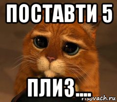 поставти 5 плиз...., Мем Кот из Шрека