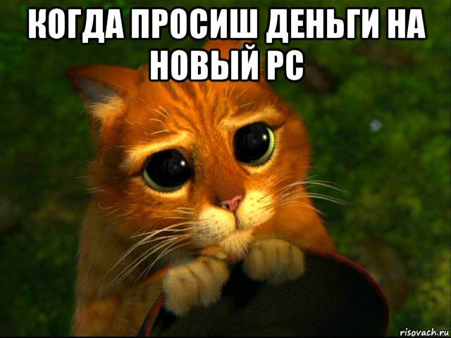 когда просиш деньги на новый pc , Мем кот из шрека