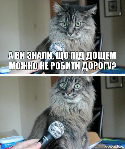 А ви знали, що під дощем можно не робити дорогу? , Комикс  кот с микрофоном