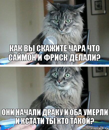 как вы скажите Чара что Саймон и Фриск делали? Они начали драку и оба умерли и кстати ты кто такой?, Комикс  кот с микрофоном