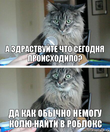 а здраствуйте что сегодня происходило? да как обычно немогу колю найти в роблокс, Комикс  кот с микрофоном