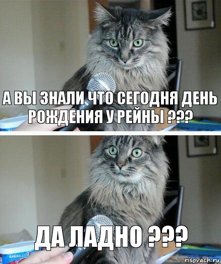 А вы знали что сегодня День Рождения у РЕЙНЫ ??? Да ладно ???, Комикс  кот с микрофоном