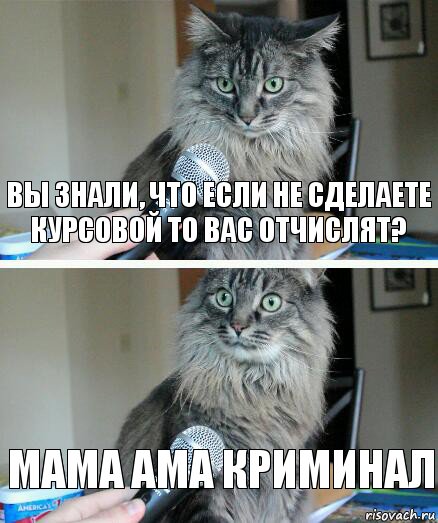 Вы знали, что если не сделаете курсовой то вас отчислят? мама ама криминал, Комикс  кот с микрофоном