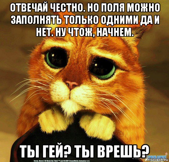 отвечай честно. но поля можно заполнять только одними да и нет. ну чтож, начнем. ты гей? ты врешь?, Мем Котик из Шрека