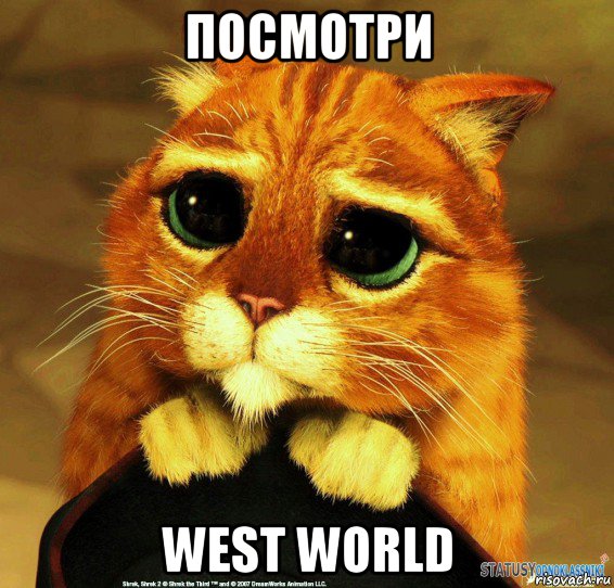 посмотри west world, Мем Котик из Шрека