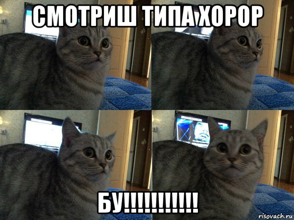 смотриш типа хорор бу!!!!!!!!!!!, Мем  Кот в шоке