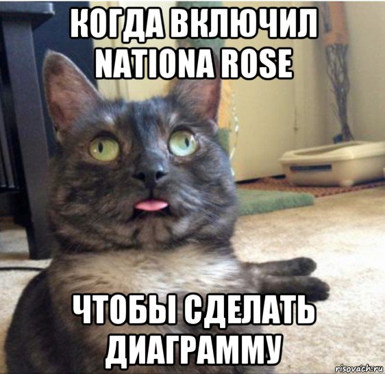 когда включил nationa rose чтобы сделать диаграмму, Мем   Кот завис