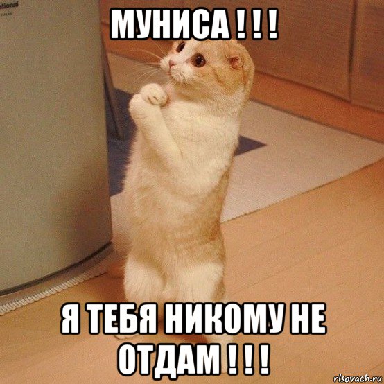 муниса ! ! ! я тебя никому не отдам ! ! !, Мем  котэ молится