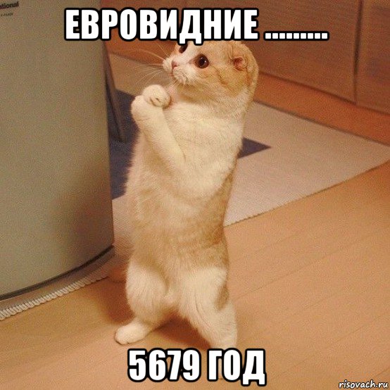 евровидние ......... 5679 год