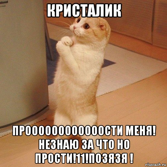 кристалик проооооооооооости меня! незнаю за что но прости!11!позязя !, Мем  котэ молится