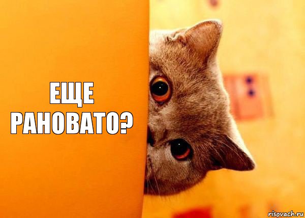 Еще рановато?, Комикс Котенок