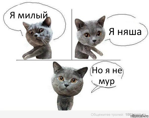 Я милый Я няша Но я не мур, Комикс  Котики